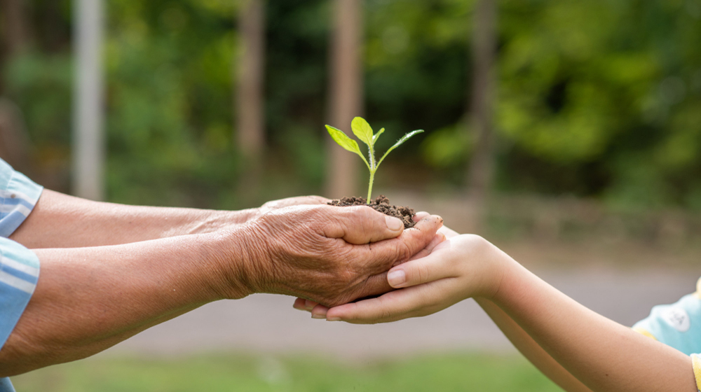 Social Welfare & Community Development