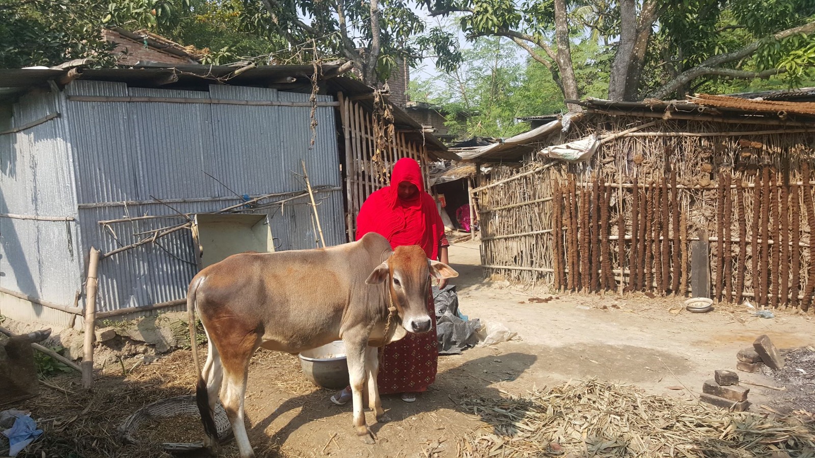 Nutrition & Rehabilitation Project